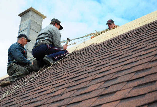 Best Roof Waterproofing Services  in Burlington, VT