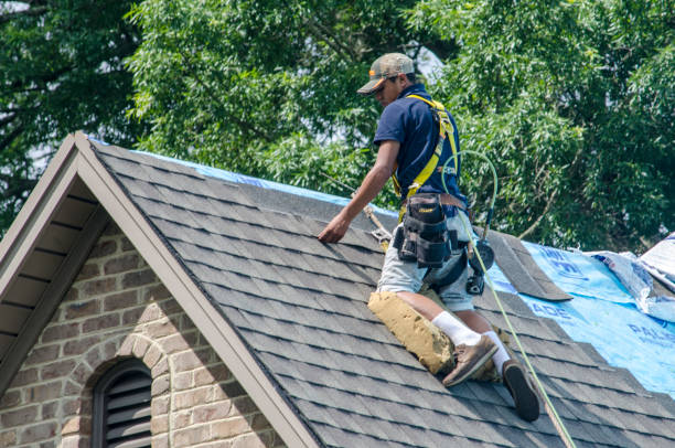 Best New Roof Installation  in Burlington, VT